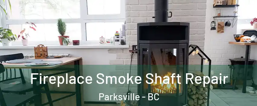  Fireplace Smoke Shaft Repair Parksville - BC
