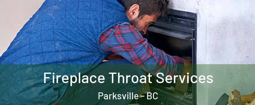  Fireplace Throat Services Parksville - BC