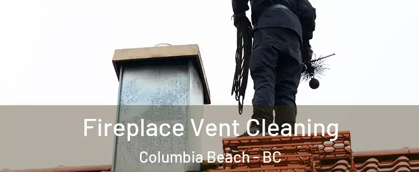  Fireplace Vent Cleaning Columbia Beach - BC