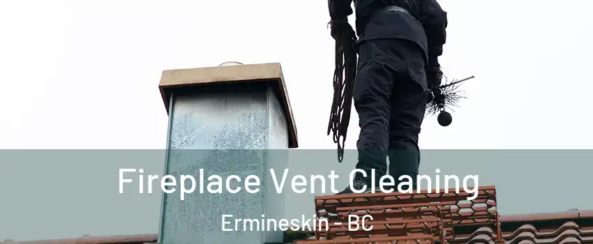  Fireplace Vent Cleaning Ermineskin - BC