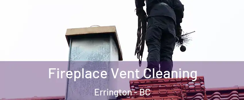  Fireplace Vent Cleaning Errington - BC