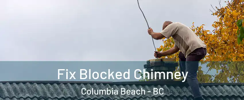  Fix Blocked Chimney Columbia Beach - BC