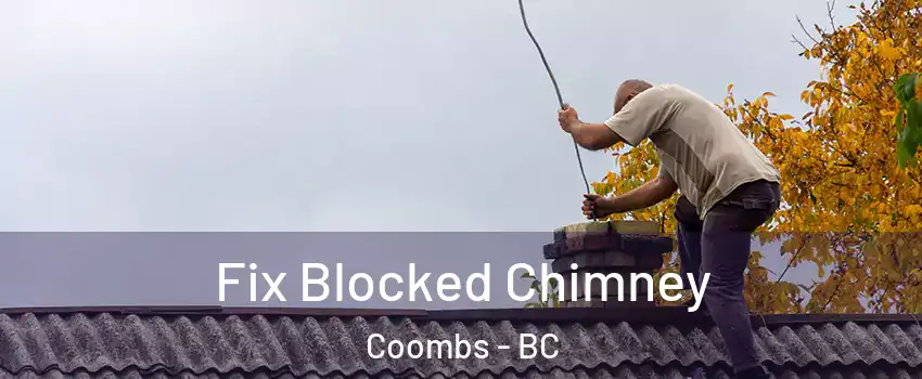  Fix Blocked Chimney Coombs - BC