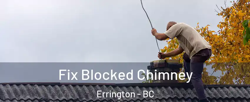  Fix Blocked Chimney Errington - BC