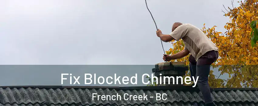  Fix Blocked Chimney French Creek - BC