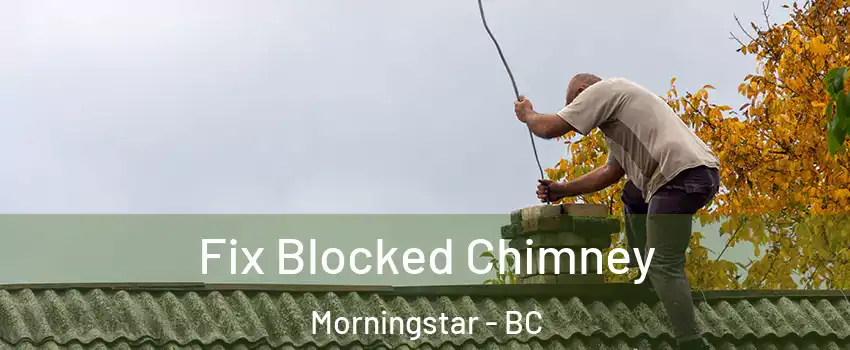  Fix Blocked Chimney Morningstar - BC