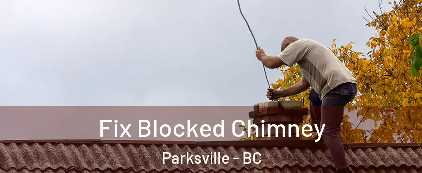  Fix Blocked Chimney Parksville - BC