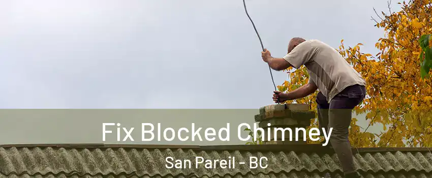  Fix Blocked Chimney San Pareil - BC
