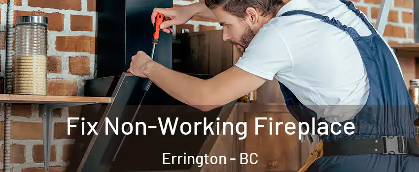  Fix Non-Working Fireplace Errington - BC