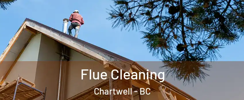  Flue Cleaning Chartwell - BC