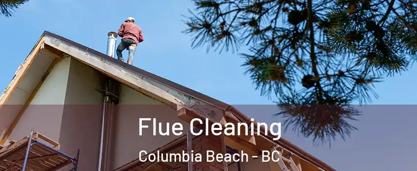  Flue Cleaning Columbia Beach - BC