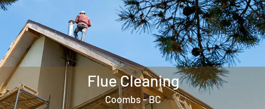  Flue Cleaning Coombs - BC