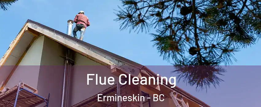  Flue Cleaning Ermineskin - BC