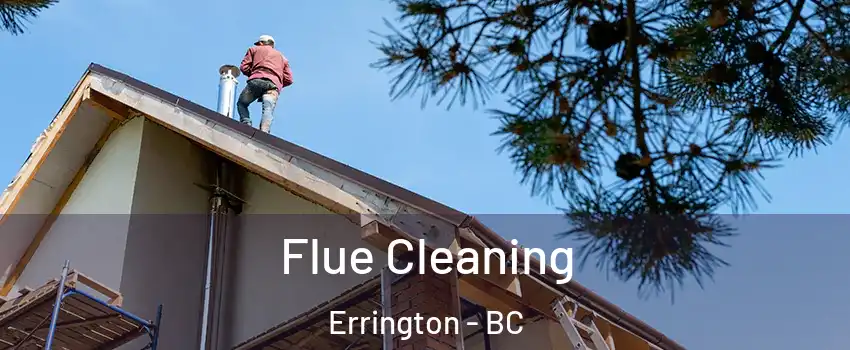  Flue Cleaning Errington - BC