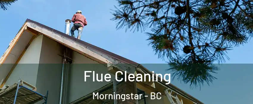  Flue Cleaning Morningstar - BC