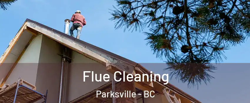  Flue Cleaning Parksville - BC