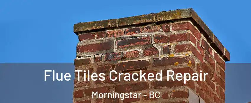  Flue Tiles Cracked Repair Morningstar - BC