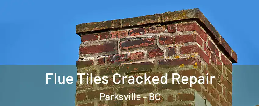  Flue Tiles Cracked Repair Parksville - BC