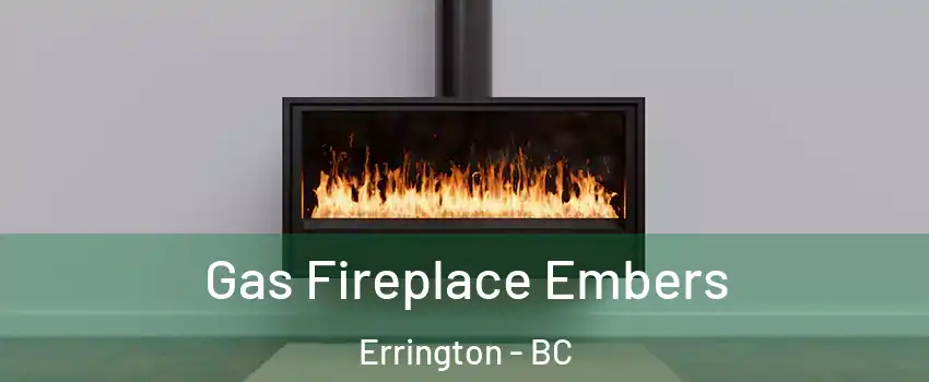  Gas Fireplace Embers Errington - BC