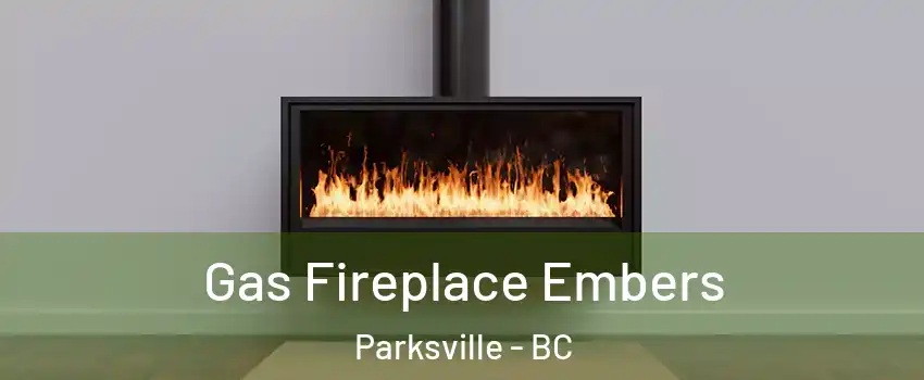  Gas Fireplace Embers Parksville - BC
