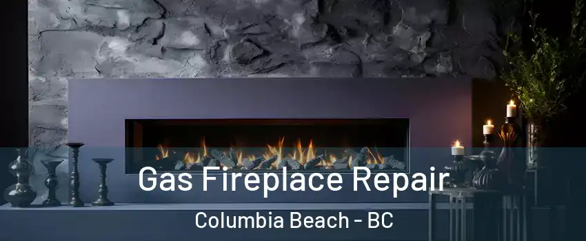  Gas Fireplace Repair Columbia Beach - BC