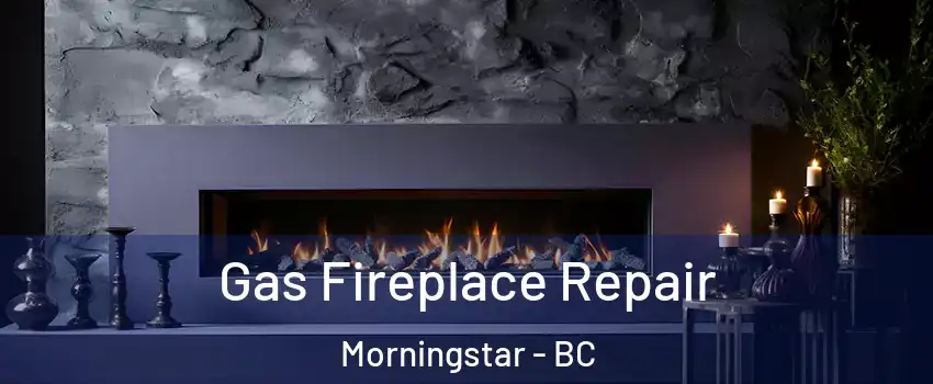  Gas Fireplace Repair Morningstar - BC
