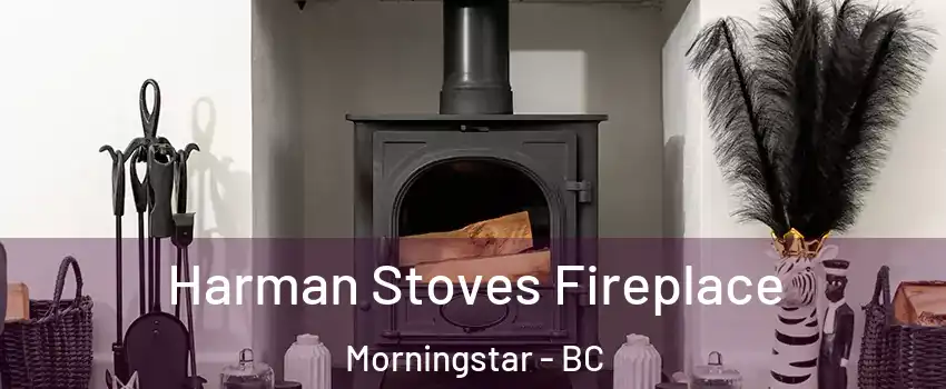  Harman Stoves Fireplace Morningstar - BC