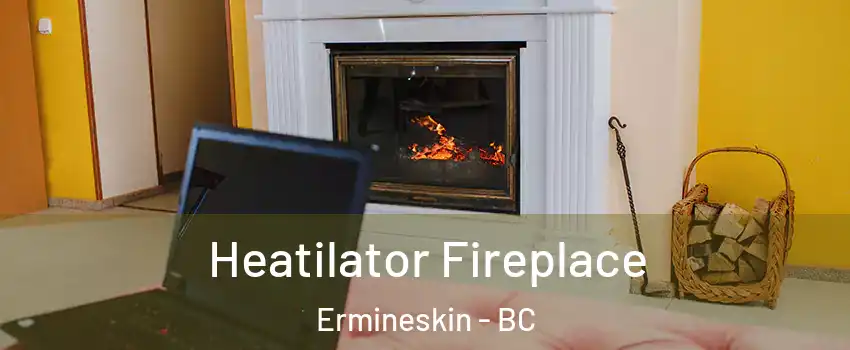  Heatilator Fireplace Ermineskin - BC
