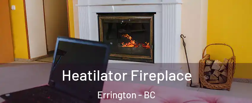  Heatilator Fireplace Errington - BC