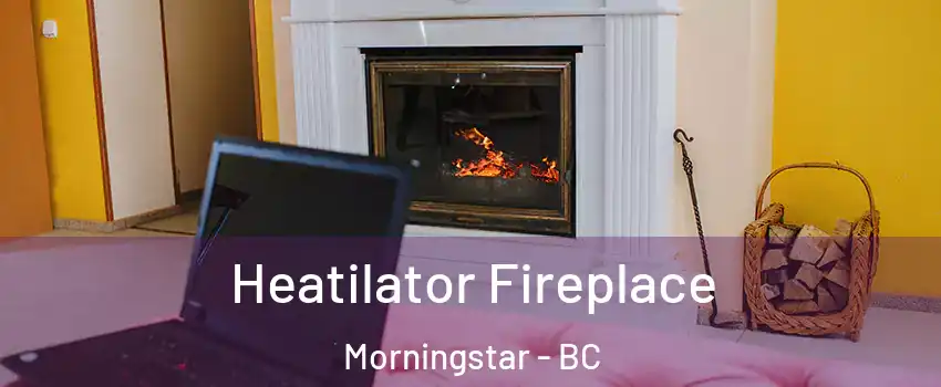  Heatilator Fireplace Morningstar - BC