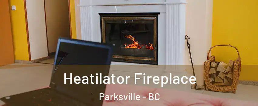  Heatilator Fireplace Parksville - BC