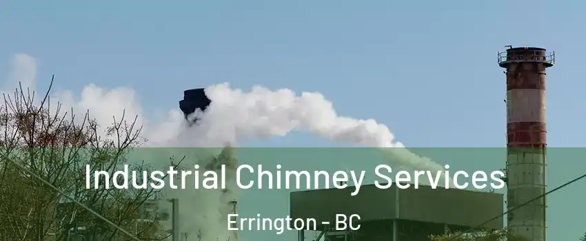  Industrial Chimney Services Errington - BC