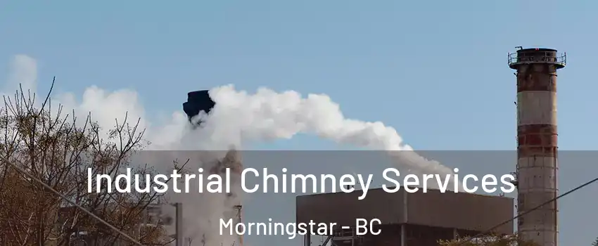  Industrial Chimney Services Morningstar - BC