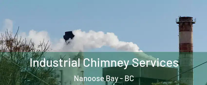  Industrial Chimney Services Nanoose Bay - BC