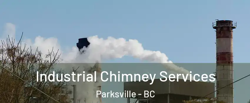  Industrial Chimney Services Parksville - BC