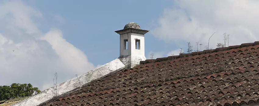 Wind-Resistant Chimney Caps Installation and Repair Services in Parksville, British Columbia