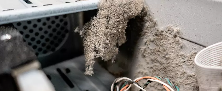 Clogged Dryer Vent Lint Cleaning in Parksville, British Columbia