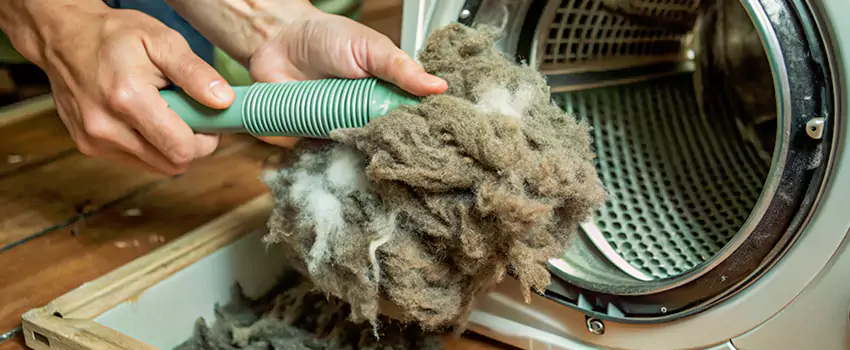 Best Dryer Lint Removal Company in Parksville, British Columbia