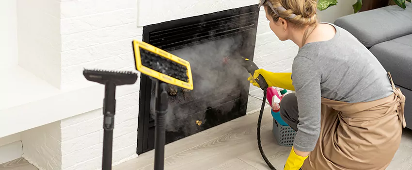 Fireplace Doors Cleaning in Parksville, British Columbia