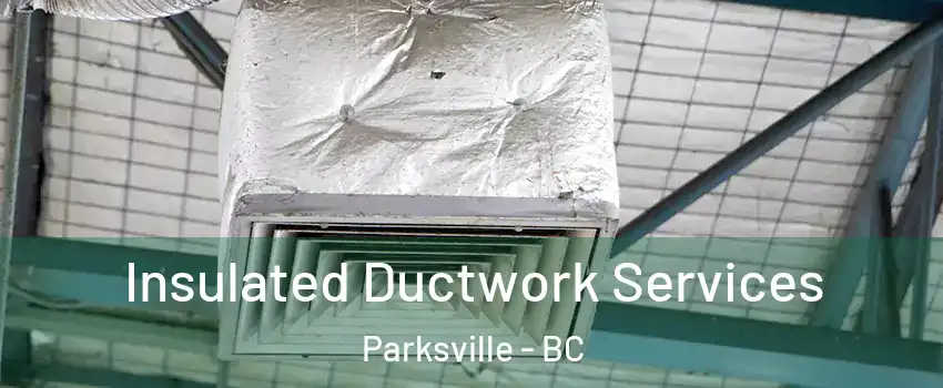  Insulated Ductwork Services Parksville - BC