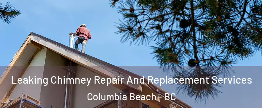  Leaking Chimney Repair And Replacement Services Columbia Beach - BC