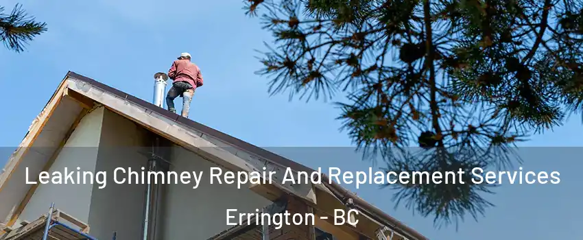  Leaking Chimney Repair And Replacement Services Errington - BC