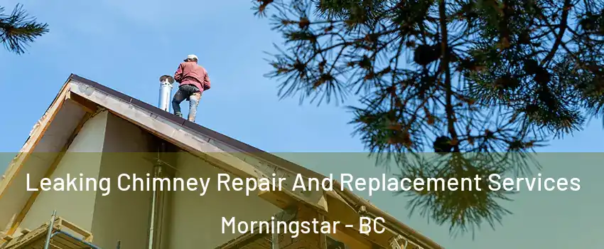  Leaking Chimney Repair And Replacement Services Morningstar - BC