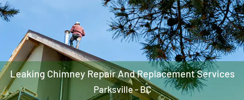  Leaking Chimney Repair And Replacement Services Parksville - BC