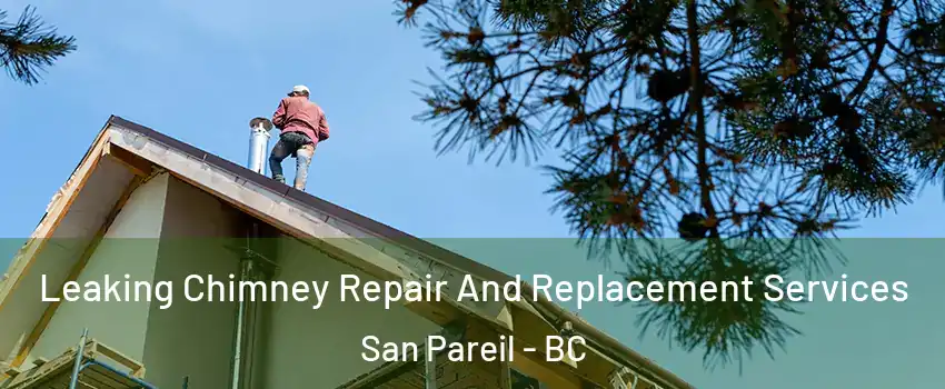  Leaking Chimney Repair And Replacement Services San Pareil - BC