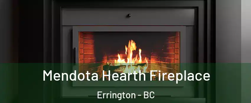 Mendota Hearth Fireplace Errington - BC