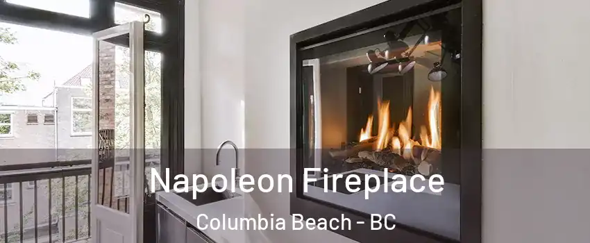  Napoleon Fireplace Columbia Beach - BC
