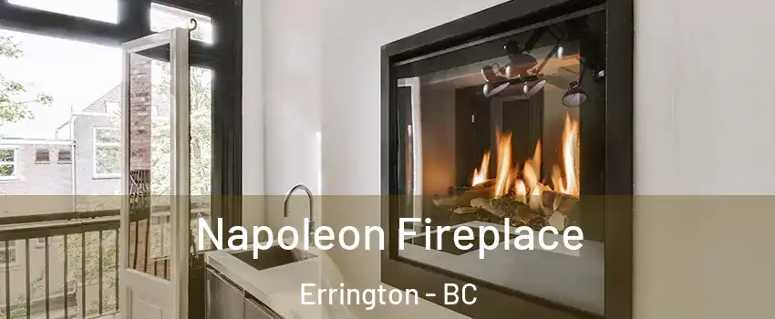  Napoleon Fireplace Errington - BC
