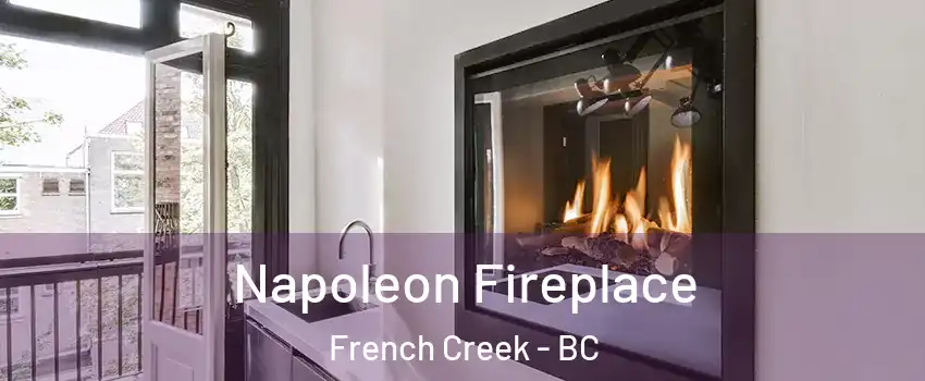  Napoleon Fireplace French Creek - BC