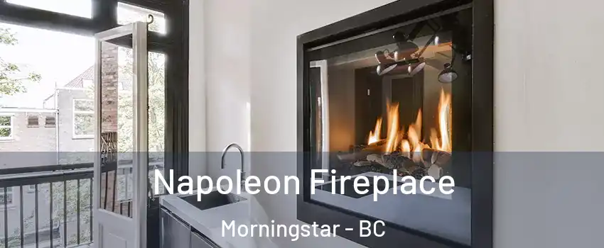  Napoleon Fireplace Morningstar - BC